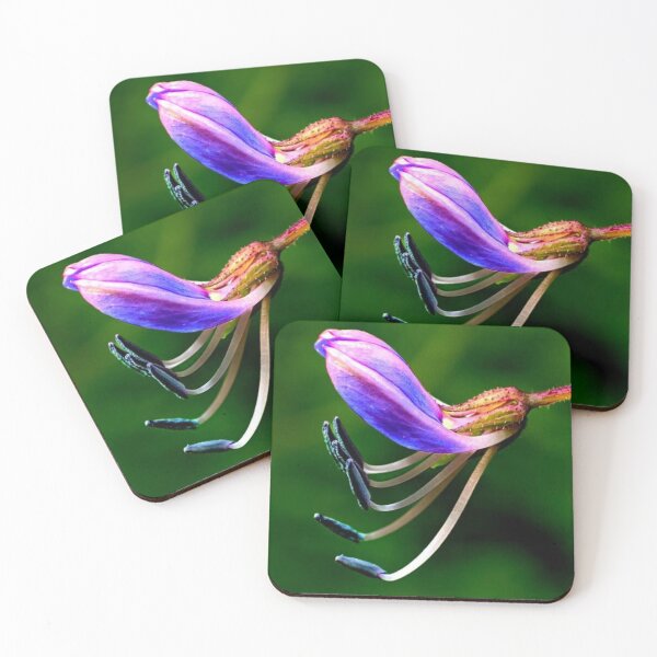 Item preview,  Cleome Rutidosperma designed and sold by HomHai.