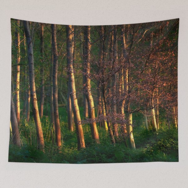 Item preview, The Beech Grove designed and sold by FOLK ART FUSION by heidiannemorris.