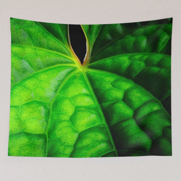 Item preview, Unique and organic photo of an Anthurium luxurians 3 designed and sold by AvonPerception.