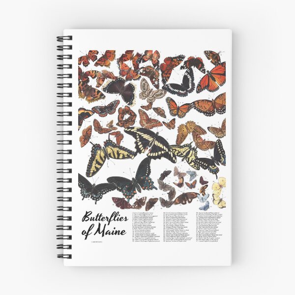 Item preview, Butterflies of Maine Chart designed and sold by JadaFitch.