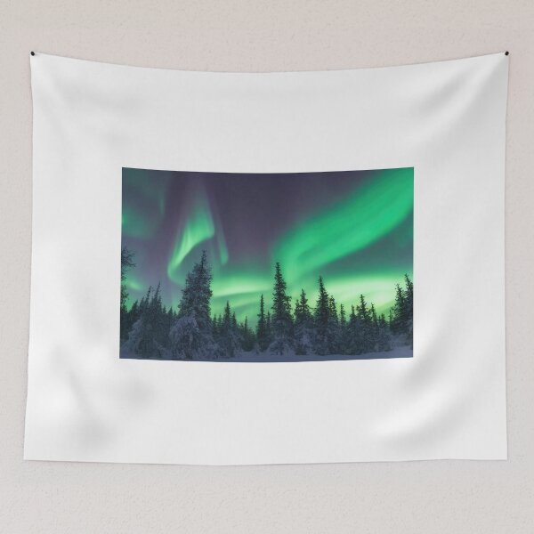 Item preview, Aurora borealis in winter trees designed and sold by pietrofoto.