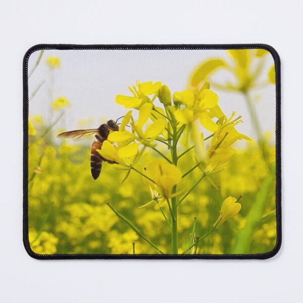 Item preview, Rape flowers designed and sold by HomHai.