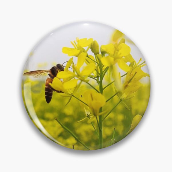 Item preview, Rape flowers designed and sold by HomHai.