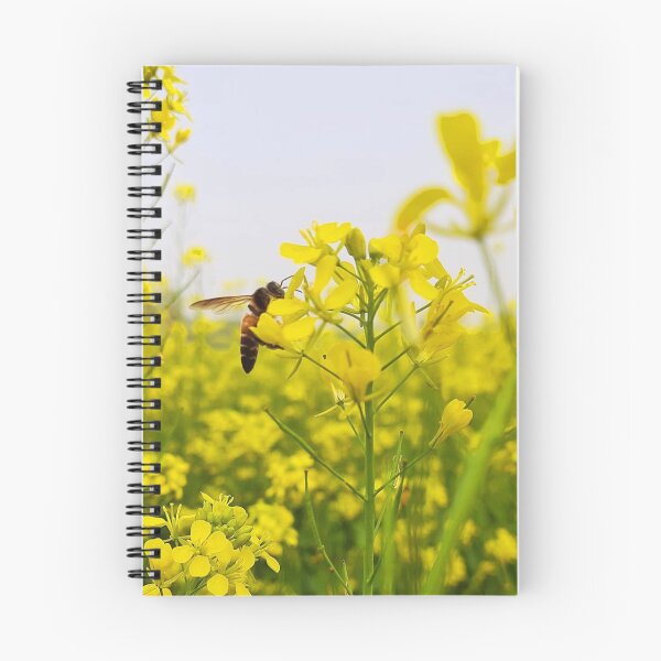 Artikelvorschau, Rapsblumen entworfen und verkauft von HomHai.
