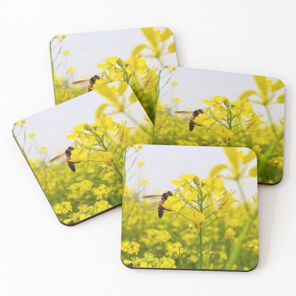 Item preview, Rape flowers designed and sold by HomHai.