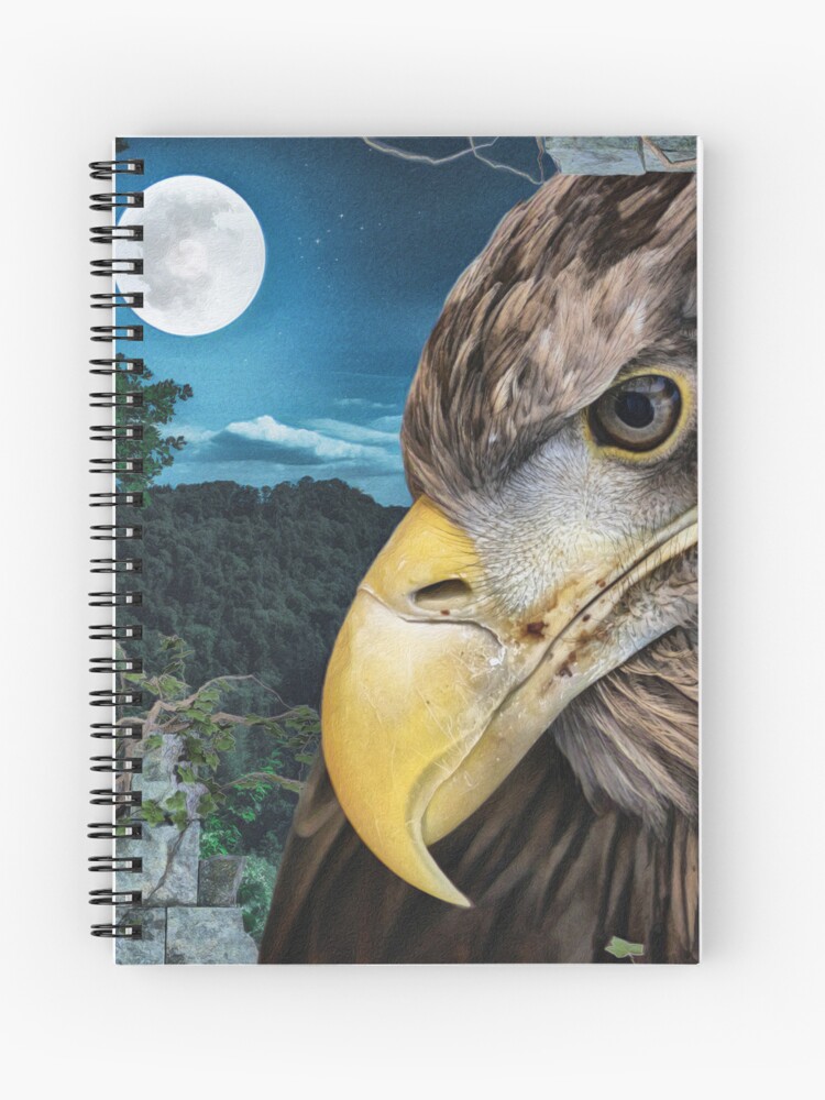 Cuaderno de espiral «Vista del bosque del águila de cola blanca desde las  ruinas» de Heathermarie321 | Redbubble