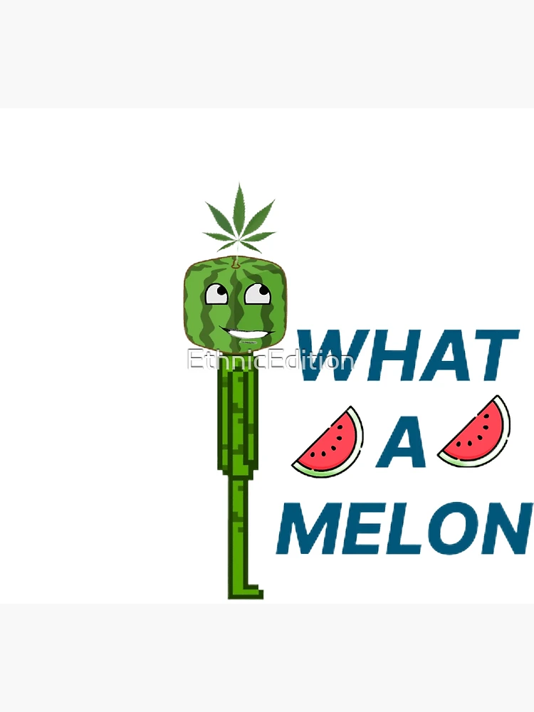 Melon playground eGift Card – Melon Playground Official Store