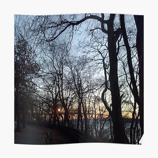 Night, Trees, Sunset, Water, Bridge Poster