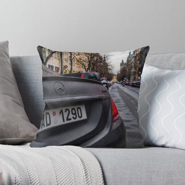 https://ih1.redbubble.net/image.4877163409.9102/throwpillow,small,600x-bg,f8f8f8-c,0,120,600,600.jpg