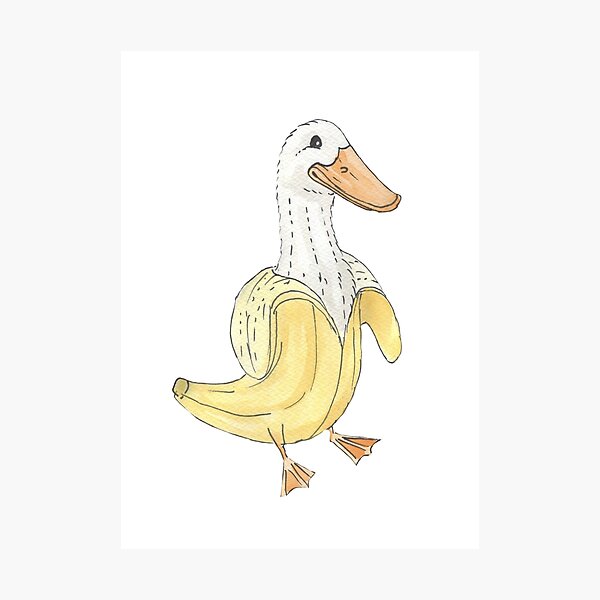 Aperçu de l'œuvre CANARD BANANE créée et vendue par ScarmoScribbles.