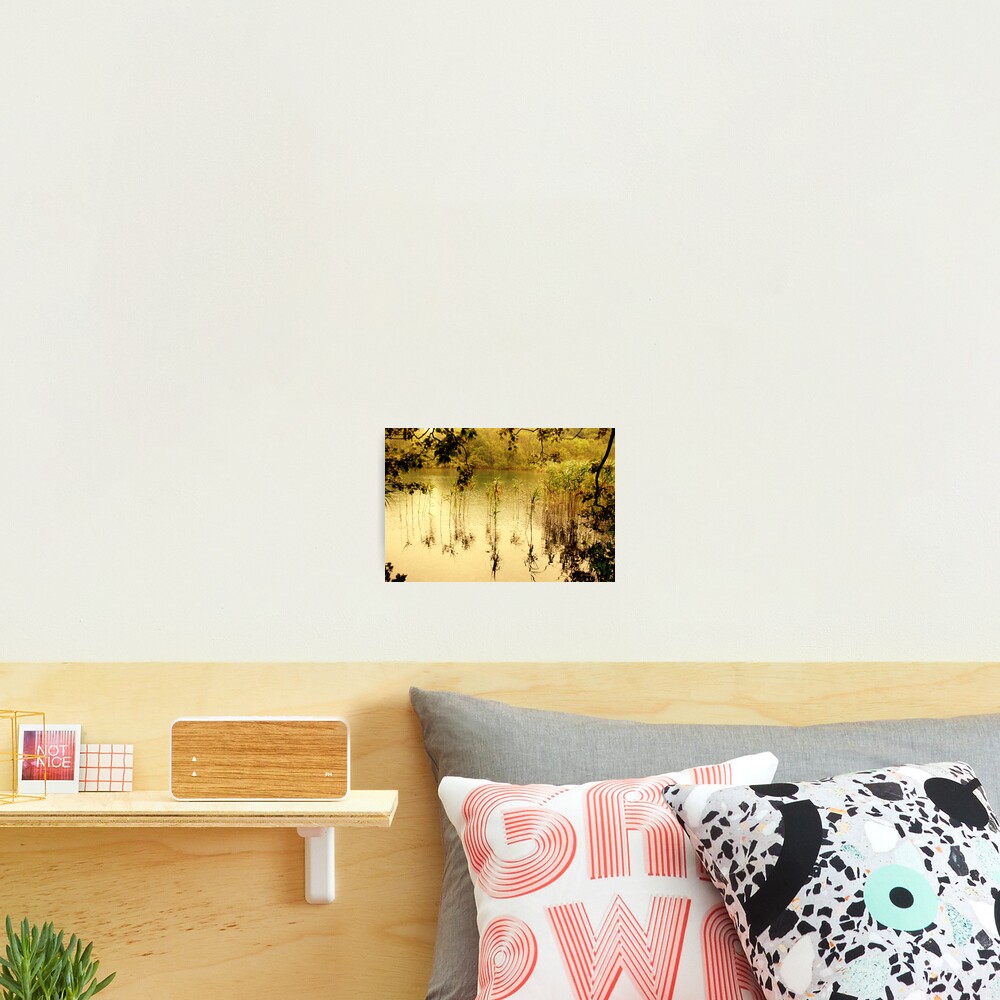 Item preview, Photographic Print designed and sold by PPDesigns.