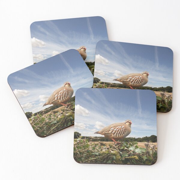 Item preview, Red legged partridge bird close up on hedge designed and sold by simonbratt.