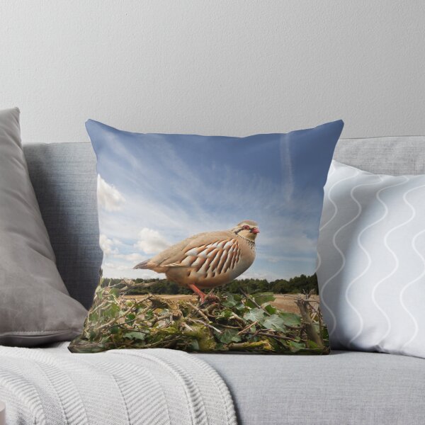Item preview, Red legged partridge bird close up on hedge designed and sold by simonbratt.