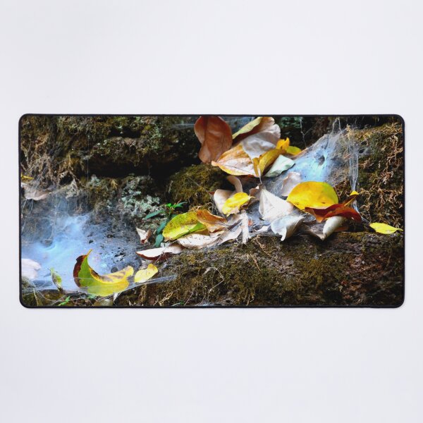 Item preview, Cambodia - Angkor, Preah Palilay, still life designed and sold by franck380.