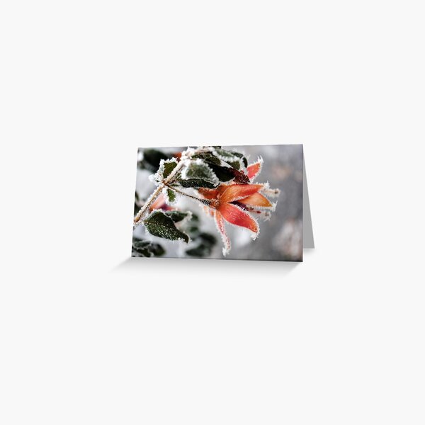 Frozen in time Greeting Card