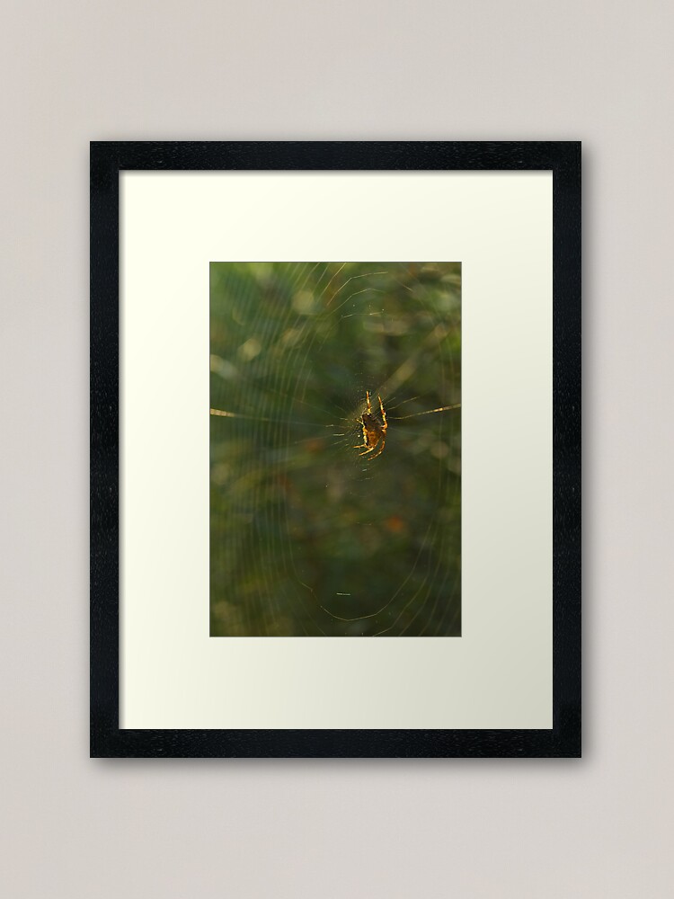 Thumbnail 1 of 7, Framed Art Print, Golden Spider Dreams designed and sold by steppeland.