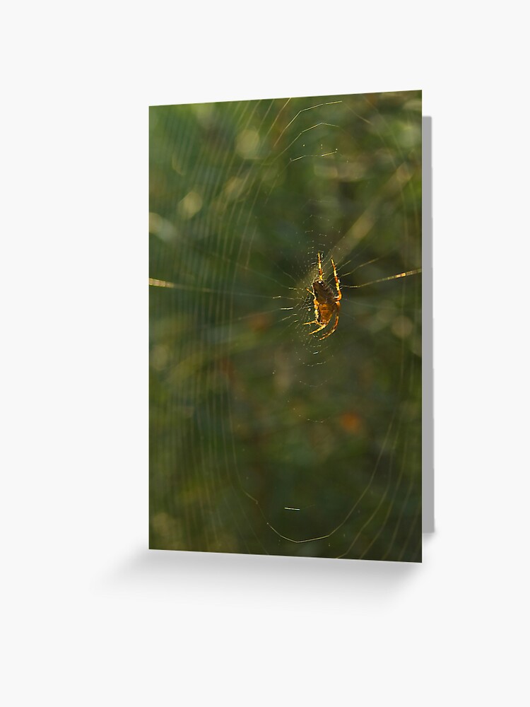 Thumbnail 1 of 2, Greeting Card, Golden Spider Dreams designed and sold by steppeland.