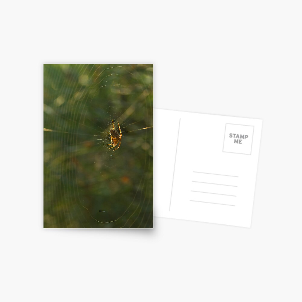 Item preview, Postcard designed and sold by steppeland.