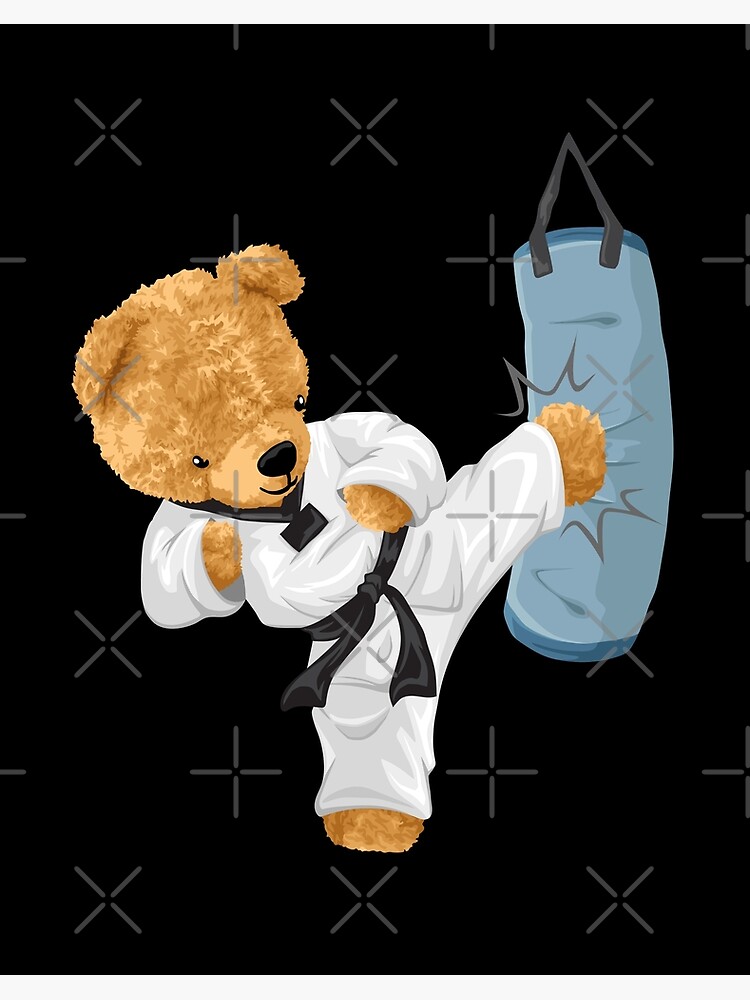 Karate teddy online