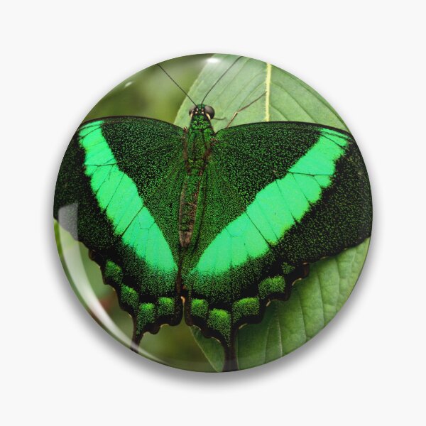 Item preview, Emerald Swallowtail designed and sold by Jo Nijenhuis.