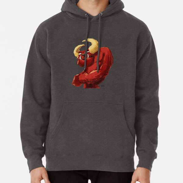 Hoodie (Pullover)