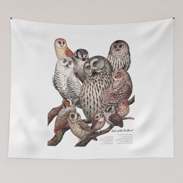 Item preview, Owls of the Northeast designed and sold by JadaFitch.