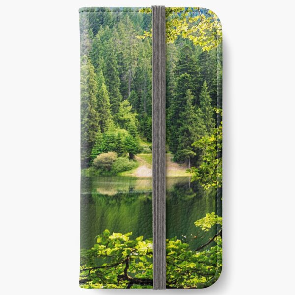 lake in pine forest iPhone Wallet