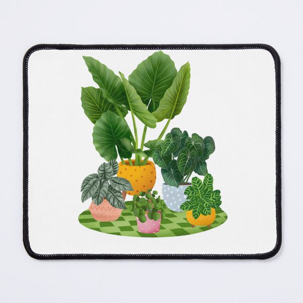 Item preview, Colourful House Plants Collection 3 designed and sold by Ana Moguš.