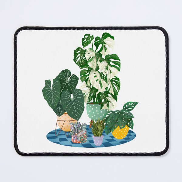 Item preview, Colourful House Plants Collection 3 designed and sold by Ana Moguš.