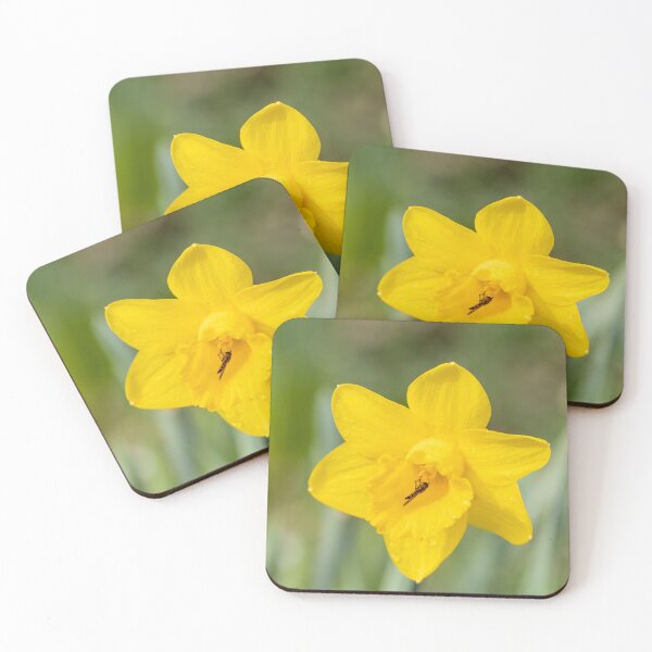 Item preview, Hoverfly On A Daffodil designed and sold by Tanya C  Smith.
