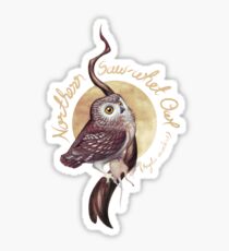 Northern Saw-whet Owl Sticker