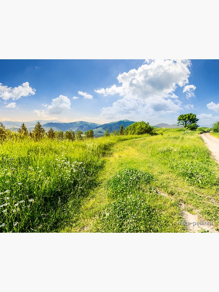 road through the meadow on hillside by mike-pellinni
