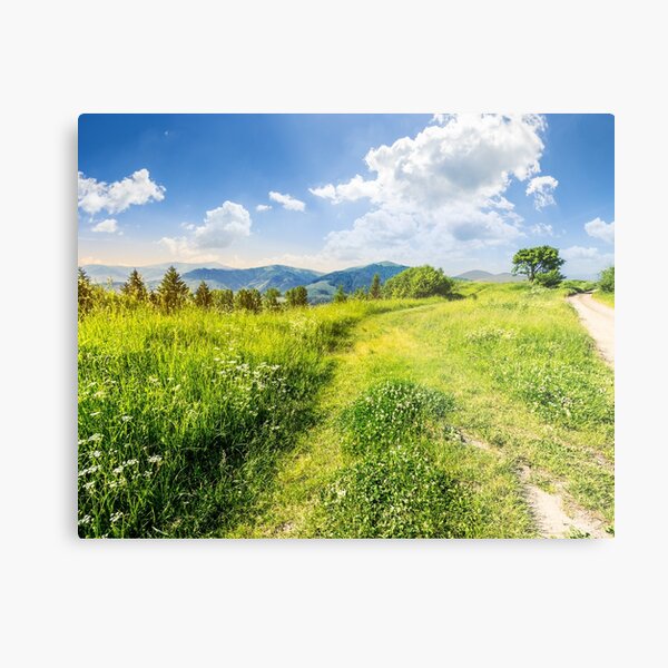 road through the meadow on hillside Metal Print