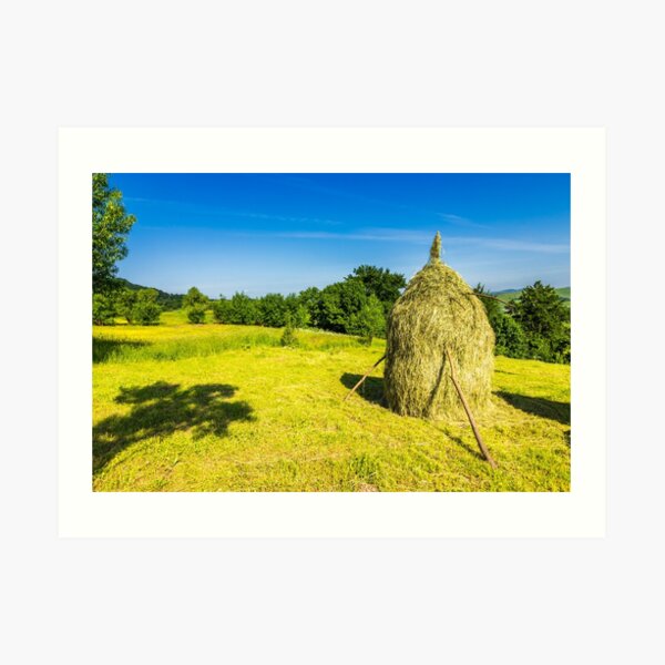 field with haystacks Art Print