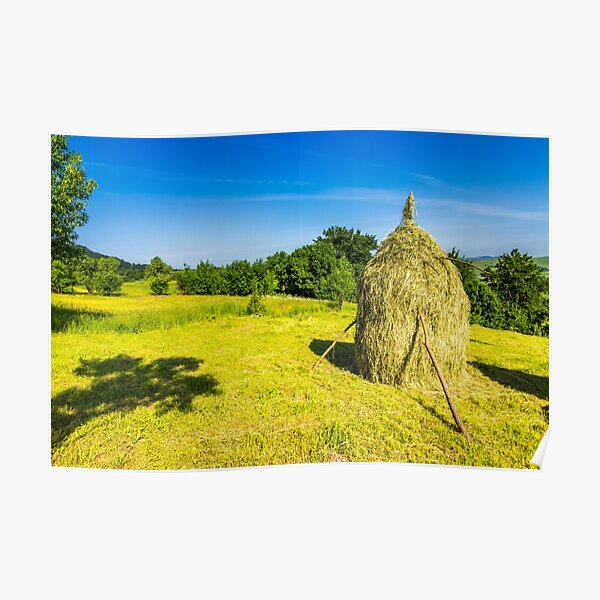 field with haystacks Poster