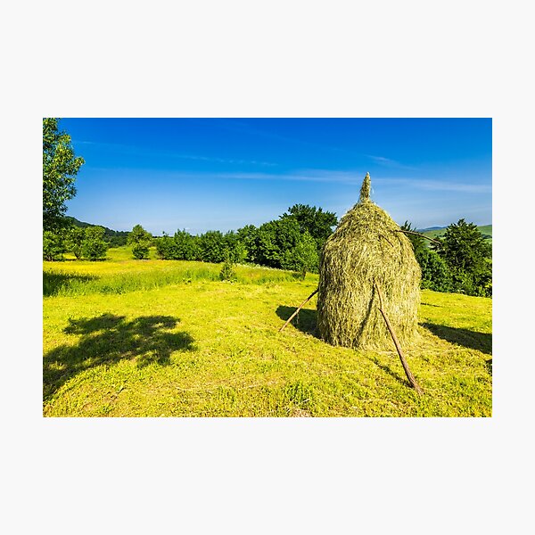 field with haystacks Photographic Print
