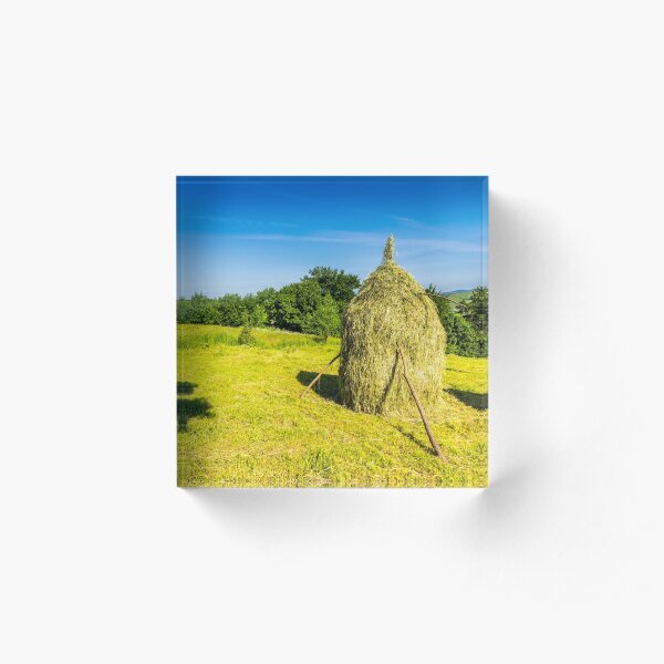field with haystacks Acrylic Block