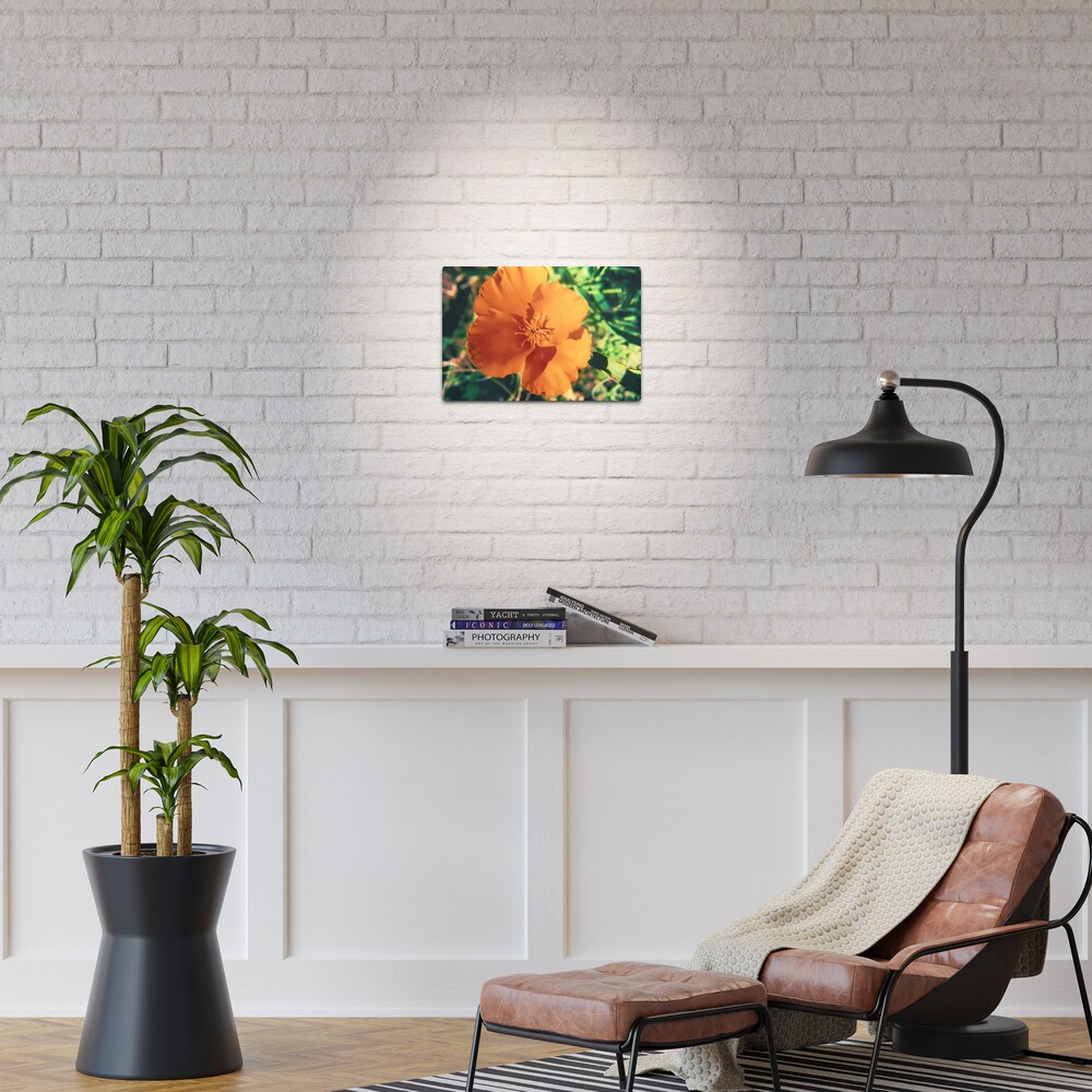 Item preview, Metal Print designed and sold by DaogreerEarth.