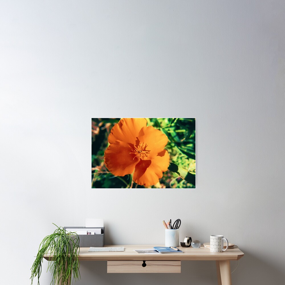 Item preview, Poster designed and sold by DaogreerEarth.