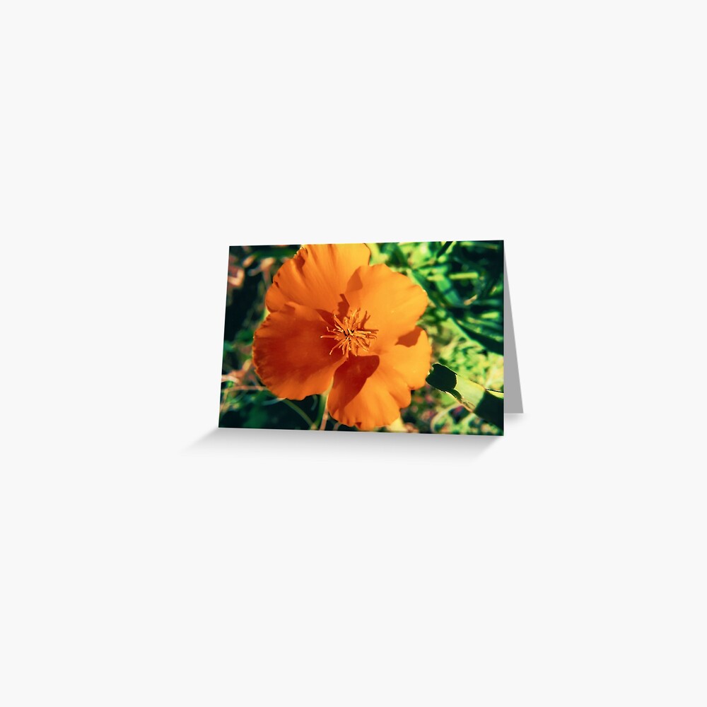 Item preview, Greeting Card designed and sold by DaogreerEarth.