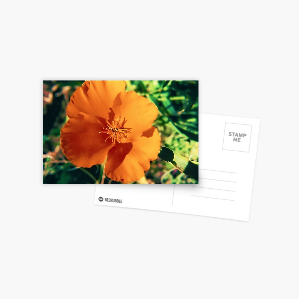 Item preview, Postcard designed and sold by DaogreerEarth.