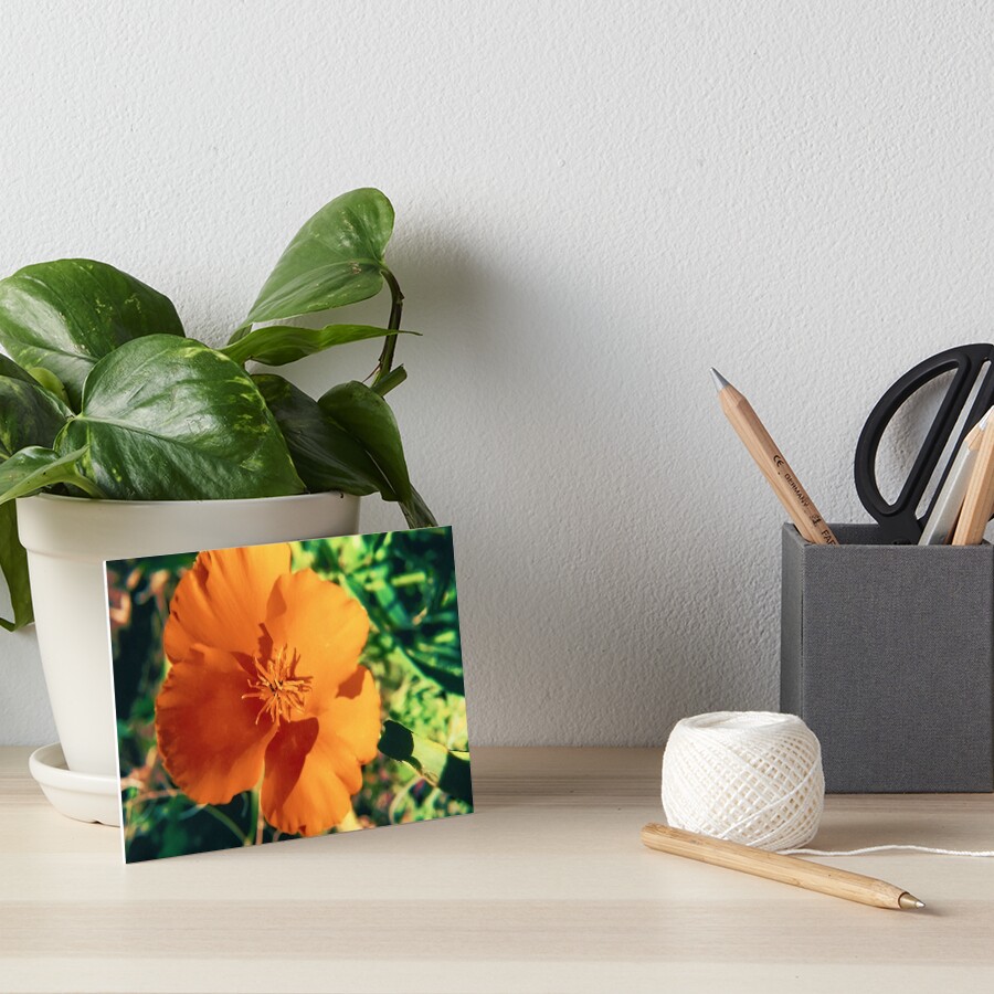 Item preview, Art Board Print designed and sold by DaogreerEarth.