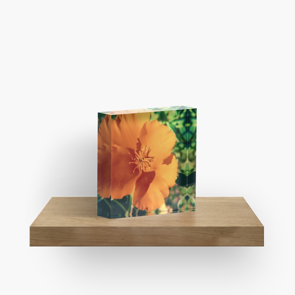 Item preview, Acrylic Block designed and sold by DaogreerEarth.