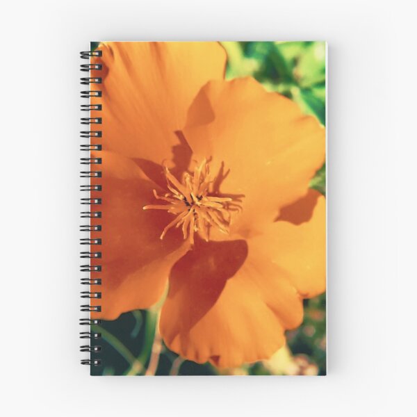 Item preview, Query designed and sold by Daogreer Earth Works.