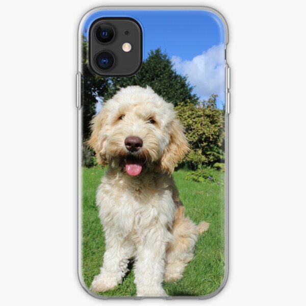 Cockapoo iPhone Soft Case