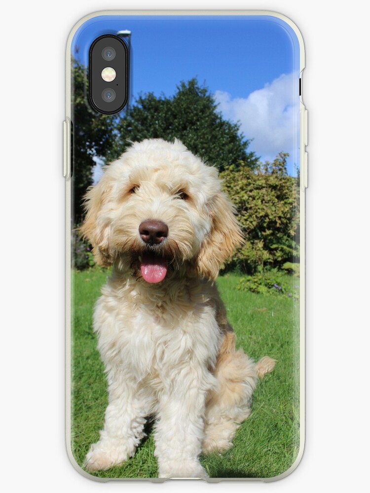cockapoo iphone 7 case cockapoo iphone 7 case