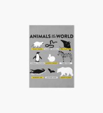 Animals of the world Art Board