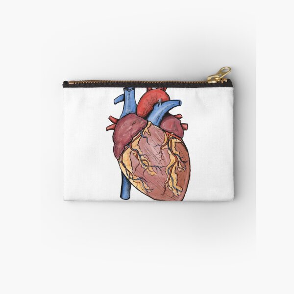 Item preview, Human heart realistic art sticker designed and sold by ArtfullyReka.