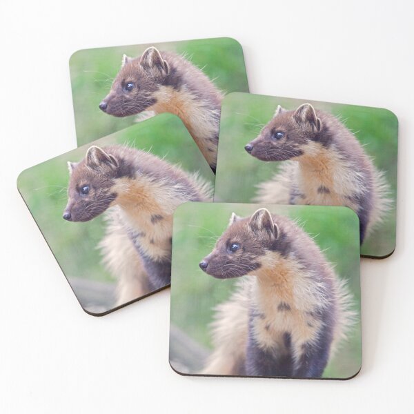 Item preview, Pine Marten designed and sold by Krys Bailey.