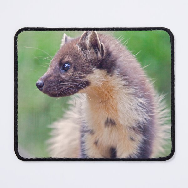 Item preview, Pine Marten designed and sold by Krys Bailey.